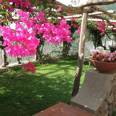 Bouganville Home Vietri エクステリア 写真